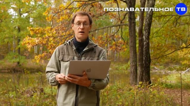 Забытый КРЕМЛЬ. Русские изводы слов (Познавательное ТВ, Артём Войтенков) смотреть онлайн