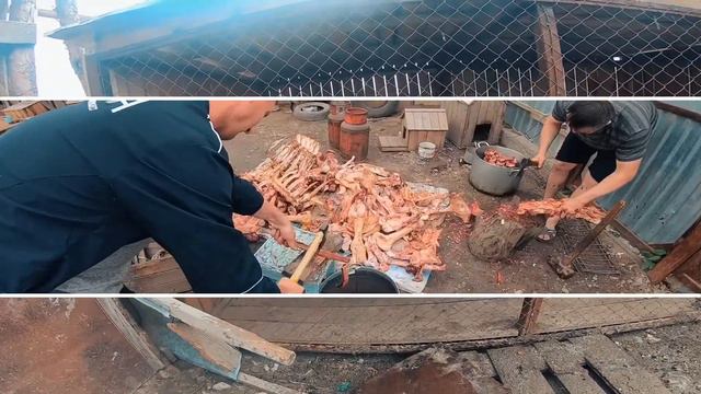 Помощь приюту 4 лапы смотреть онлайн