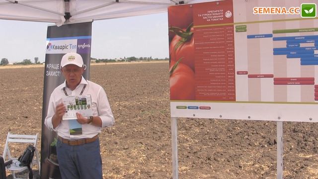 Система защиты томатов Syngenta День поля 10 08 2016 смотреть онлайн