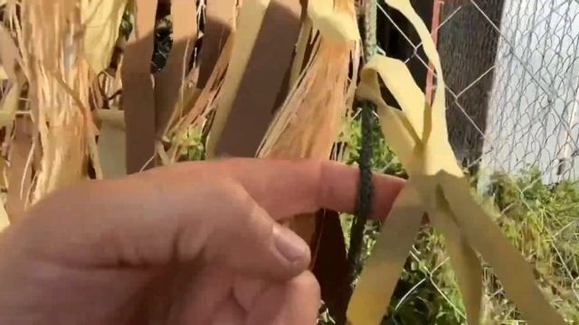 Маскировочная сеть для охоты на гуся на утку итд смотреть онлайн