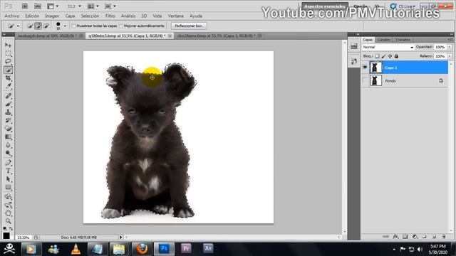 Photoshop CS5 - Perfeccionar Bordes (Hacer seleciones complicadas facilmente) - Tutorial смотреть онлайн