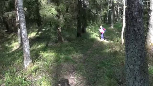 Сказочный снежный холод