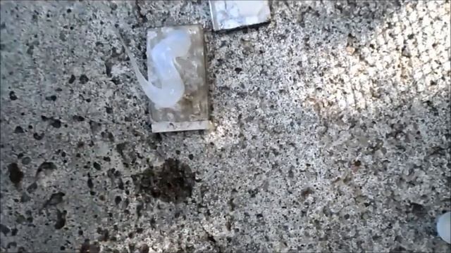 Temporary pool tile repair,a quick fix смотреть онлайн