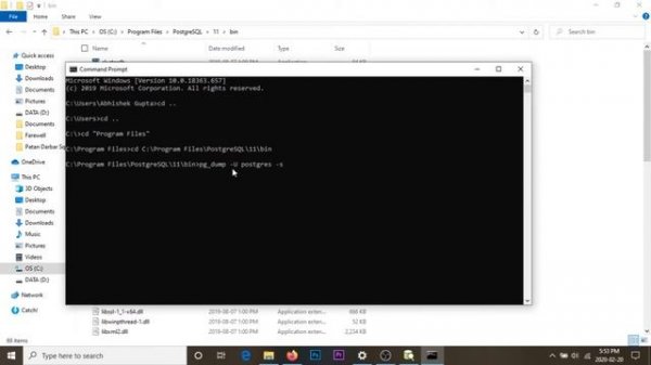How to export database from PostgreSQL (PgAdmin 4) using command [pg_dump]