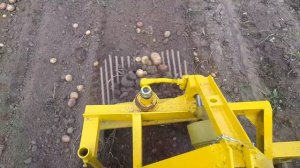 Картофелекопалка для минитрактора "УТИНЫЙ ХВОСТ" своими руками.