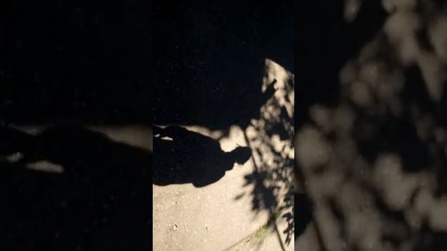 Вызов Пикового Вальта смотреть онлайн