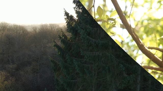 Если чувствуешь, что ты где то не там, вставай и иди туда смотреть онлайн
