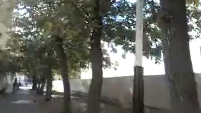 Видео0126.mp4 смотреть онлайн
