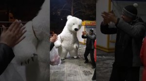 Белый мишка. Поздравляю тебя на всех языках мира❤️❤️❤️