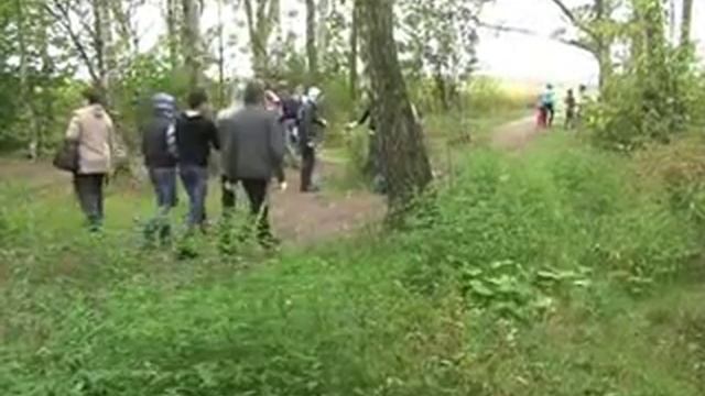 Уборка леса смотреть онлайн