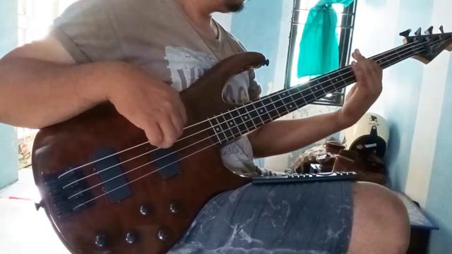 Test Bass Peavey Millenium AC BXP