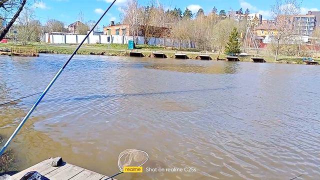Светлые Горы 05.05.2022 смотреть онлайн