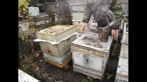 подготовка пчел к зимовке в начале октября - осенние работы на пасеке