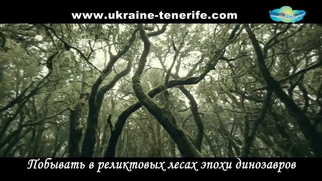 Как поехать на Канарские острова и что там делать смотреть онлайн