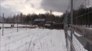 Коррида по русски