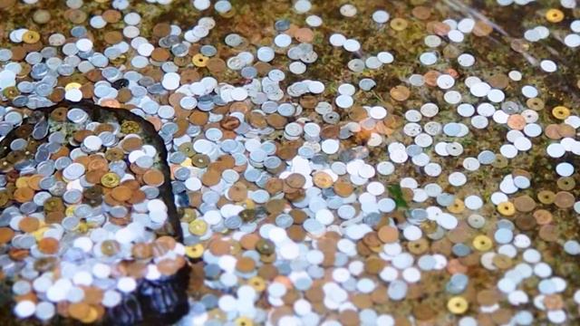 Create Wealth and Abundance ASMR Inaudible Popping, Gentle Whispering смотреть онлайн