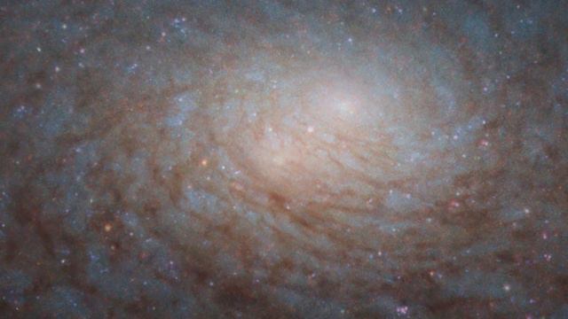 Маск планирует обеспечить интернетом труднодоступные районы планеты. Новости Бизнеса. Дайджест №10 смотреть онлайн