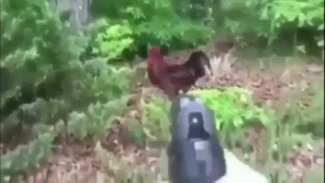 Chicken gimme tendies distorted смотреть онлайн