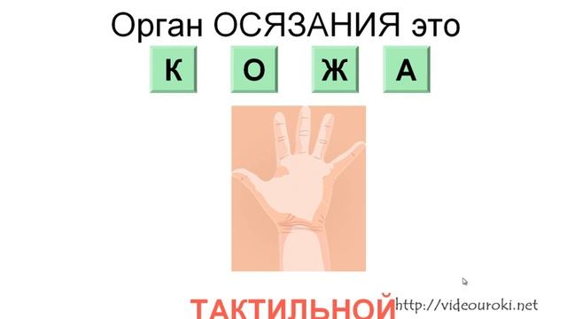 Информация. Виды информации по каналу восприятия смотреть онлайн