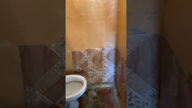 Продажа комнаты на Петроградской/ Экскурсия по квартире/ Онлайн показ/ в центре Питера / у метро смотреть онлайн