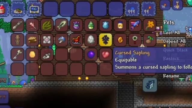 Terraria Pet Hoarder trophy/achievement guide смотреть онлайн
