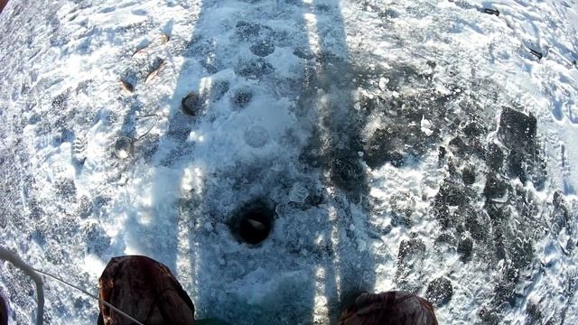 Вот это ЖОР ОКУНЯ. Оз.Теньгинское 11 апреля