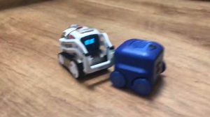 Robot Battle - Cozmo VS Boxer