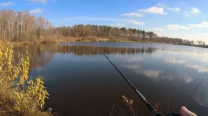 Новинка - Воблер Jackall Mag Squad 160SP! Об игре, особенностях, проводке, спиннинге.