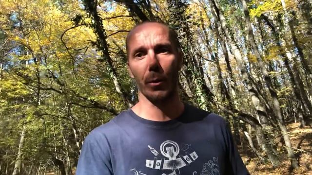 Крым как Украина обогнала Россию по многим показателям Хейловин смотреть онлайн