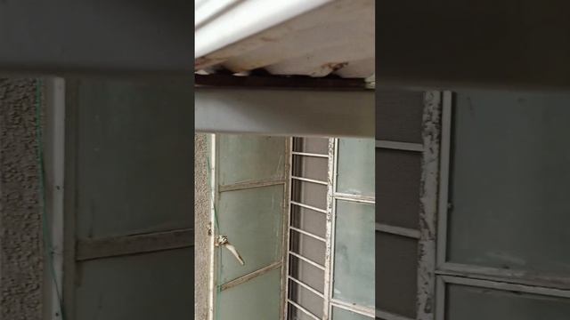 AC OUT DOOR STEND REPLACEMENT @ACREPAIRTIPS @GENIALBrightSideSpanish смотреть онлайн