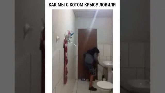 Как мы с котом ловим мышь? смотреть онлайн