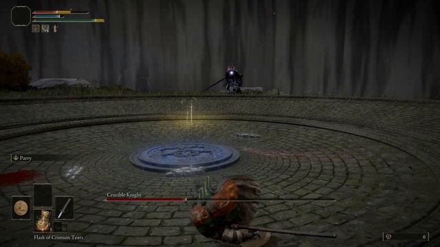 That Annoying Tail Whip; Crucible Knight - Elden Ring смотреть онлайн