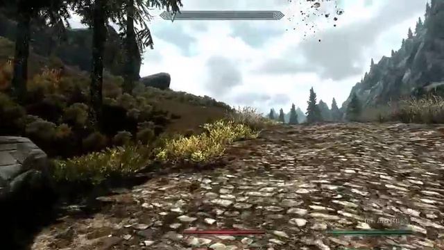 Skyrim Stones - The Ritual Stone