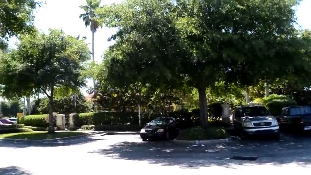 Помощь Победителям ГРИН КАРТЫ, Адрес в США для Green Card смотреть онлайн