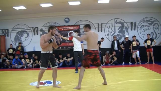 24.04.16 КУБОК МЭИ - Проф боевое самбо смотреть онлайн