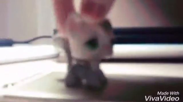 То чувство.. Когда подписчиков не понять. смотреть онлайн