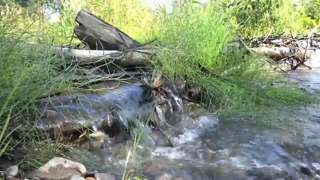 Ambient 1. Спокойная, расслабляющая музыка для медитации, йоги, обучения, работы, сна. смотреть онлайн