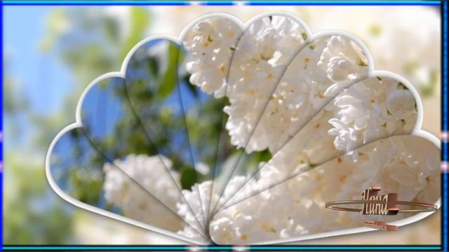 Ах сирень сиренюшка исп В Толкунова смотреть онлайн