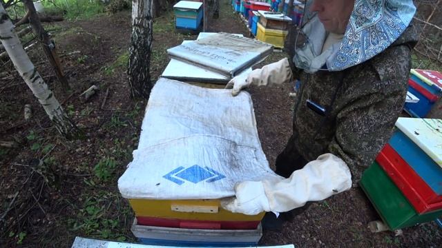 КОГДА СТАВИТЬ СЛЕДУЮЩИЙ МАГАЗИН ПОД МЁД КАК И КАКИМ СЕМЬЯМ