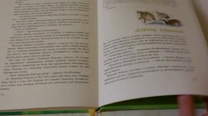 Обзор детской серии книг Эно Рауд  "Муфта, Полботинка и Моховая Борода.(2 книги)".