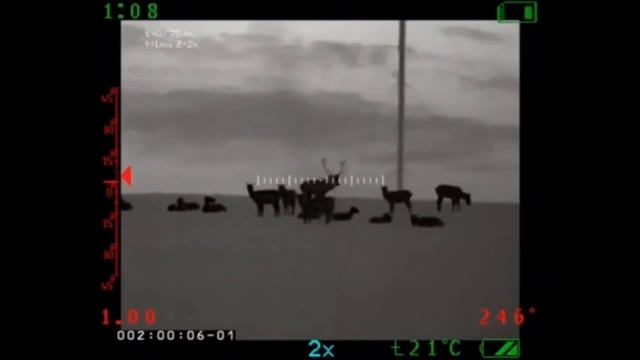 #ARCHER #thermalimaging #hunting #hunt #bglovec #bglov #Blaser #hornady #atlas смотреть онлайн