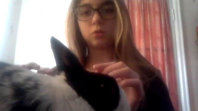 Как ухаживать за кроликам (за декаративным). смотреть онлайн