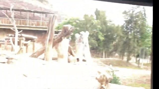 Terra Natura - Aqua Natura - MURCIA - Espagne