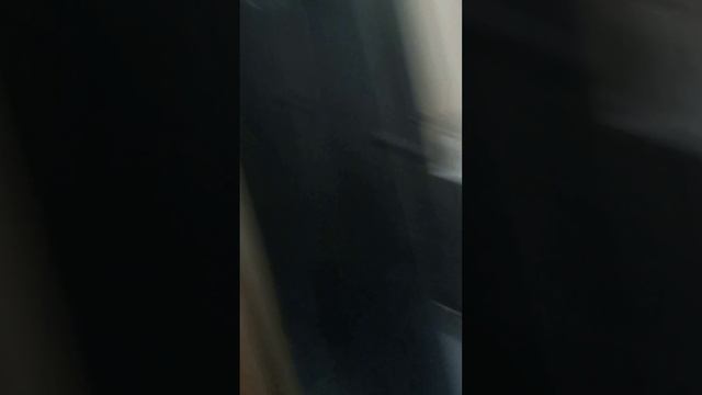 Мой дом проклят? смотреть онлайн
