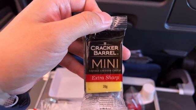 Singapore Airlines ECONOMY & SilverKris Lounge Food Review✈️ Sydney to Tokyo Flight Experience смотреть онлайн