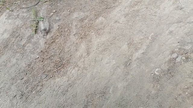 mn99s смотреть онлайн