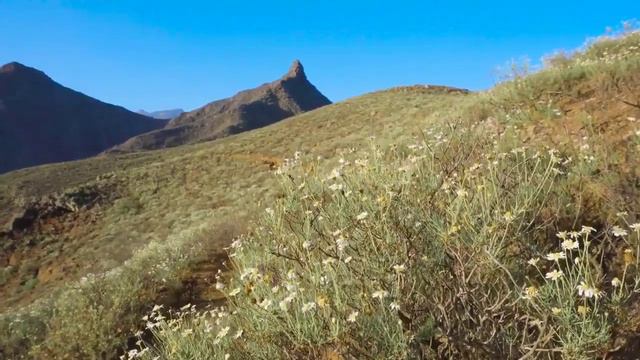 Колесниковы//Хрючево не зашло, будут хайповать на Ефреме//Обзор видео// смотреть онлайн