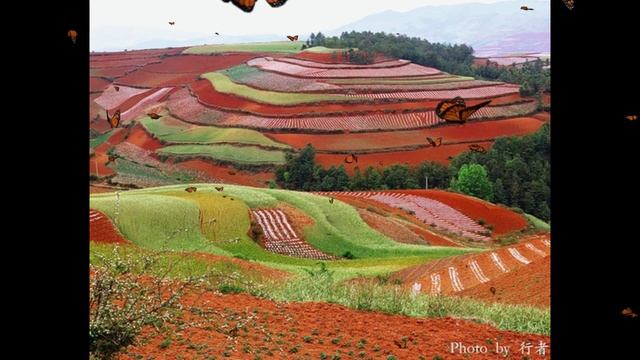 История про арбузы. 3 подкаст из серии - Легенды древности. История древнего Китая смотреть онлайн
