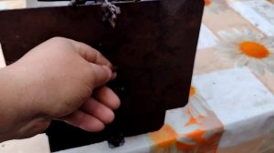 Как поймать хорька, ласку или куницу.