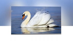 ► Красивая музыка ☀️ Игорь Крутой